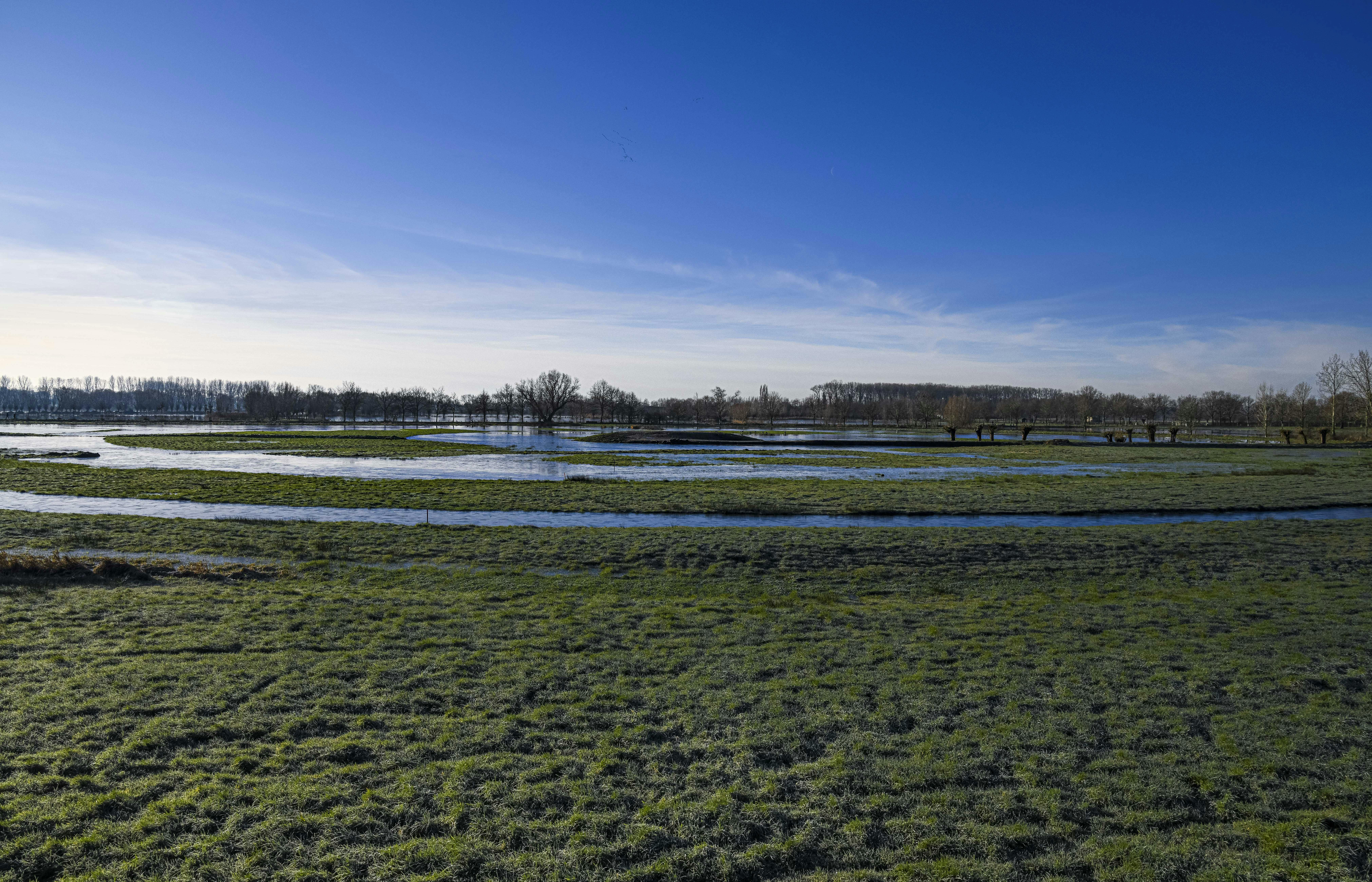 Assebroekse Meersen