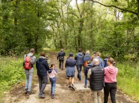 AD_Zedelgem_AD in Vloethemveld 5 © Provincie West-Vlaanderen-Jan D’Hondt (Ateljé D)
